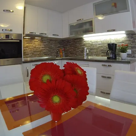 Apartment Red Dream *