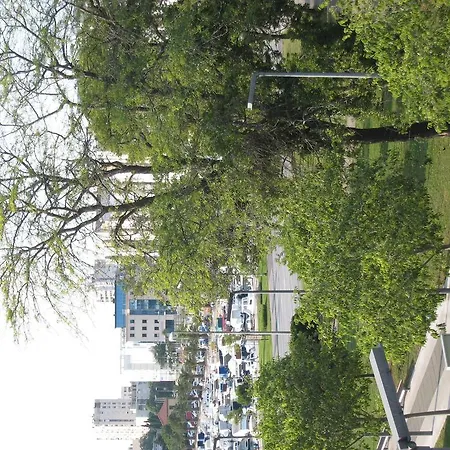 Red Dream *