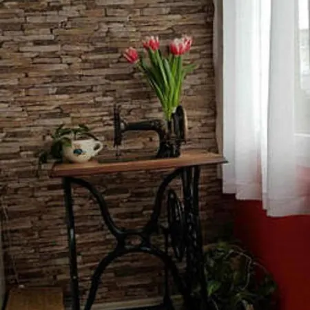 Red Dream Apartamento Zadar