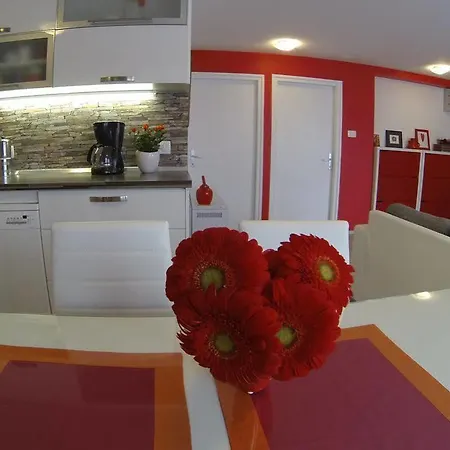 Red Dream Apartamento